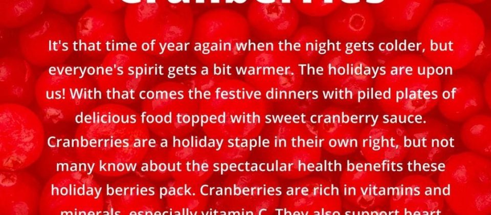 318786182_1199282164005285_8880726105523594998_n