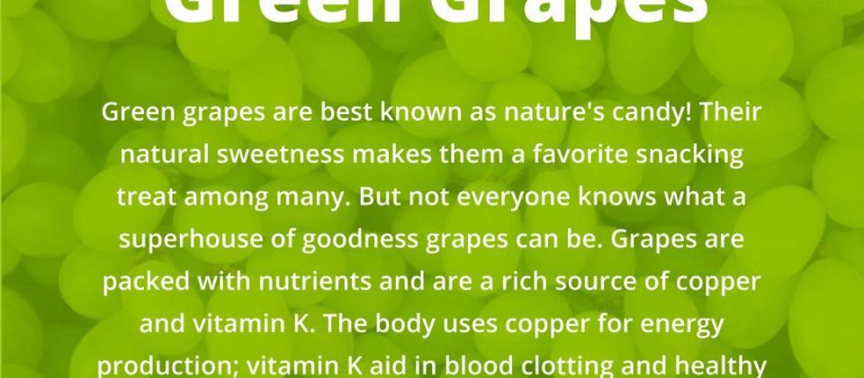 321088438_458960016413203_8824492242798416104_n